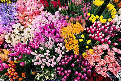 《最终幻想7核心危机：重聚》官方PC系统要求公布